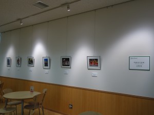 写真コンクール四季
