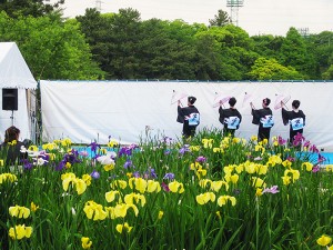 大池公園花しょうぶまつり合同発表会